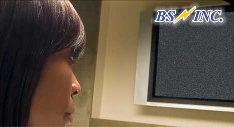 media & theater systems